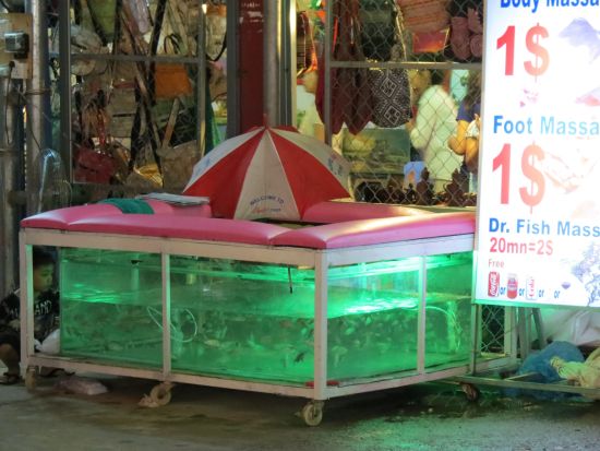 Fischmassage auf dem Nachtmarkt