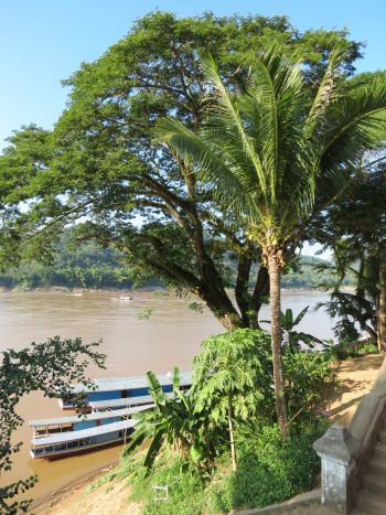 Mekongufer