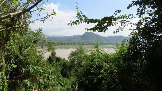 Blick auf den Mekong