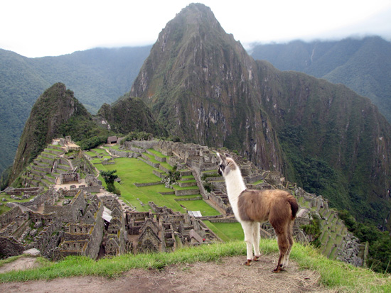 typisches Postkartenmotiv von Machu Picchu